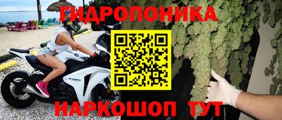 ГАЛЛЮЦИНОГЕННЫЕ ГРИБЫ Абинск