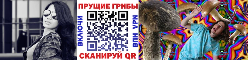 хочу наркоту блэк спрут маркетплейс Галлюциногенные грибы Psilocybine cubensis Азнакаево