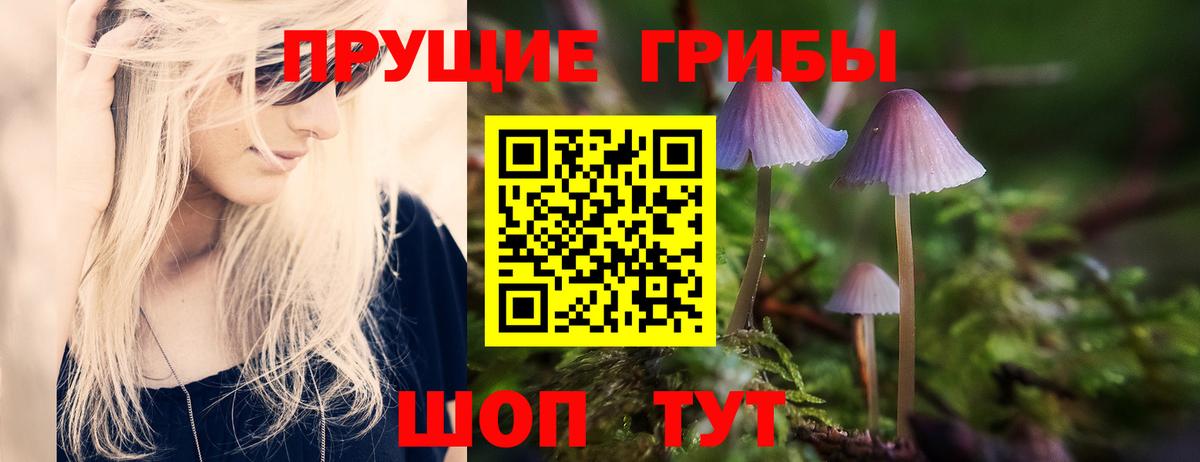 Галлюциногенные грибы GOLDEN TEACHER  сколько стоит  Азнакаево  Вход с VPN 